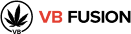 VB Fusion Logo